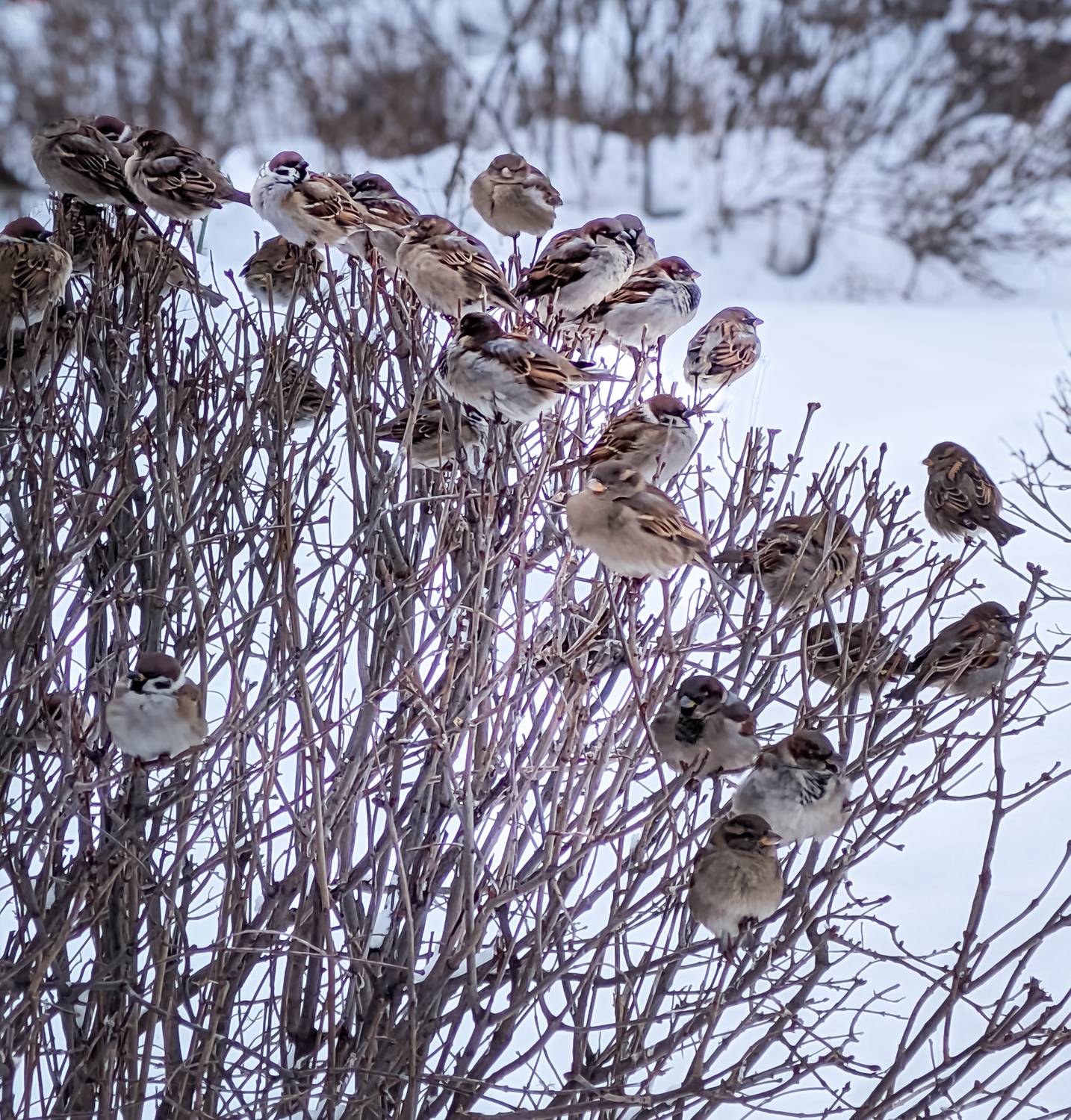 Фотография #13158149