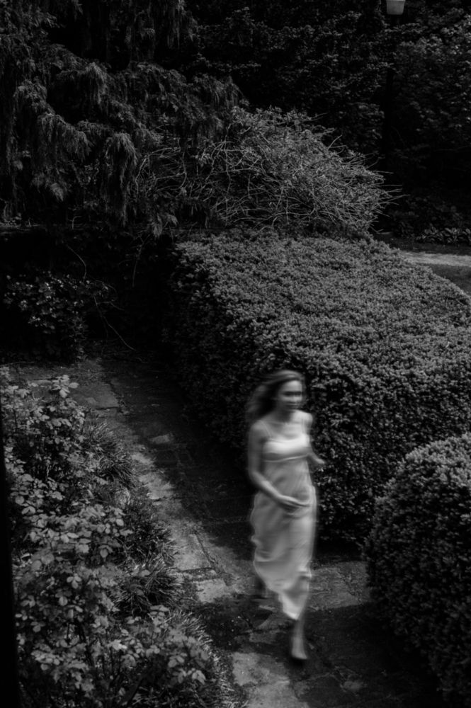 In the gardens
