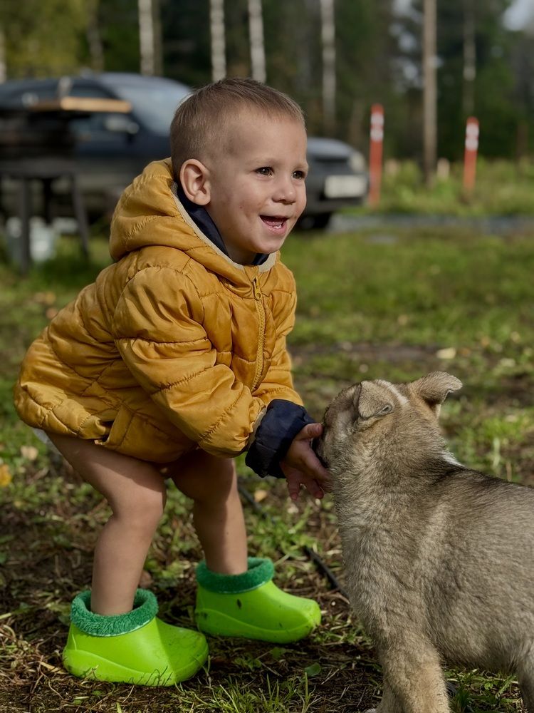 Photograph by Ольга Имамкулиева