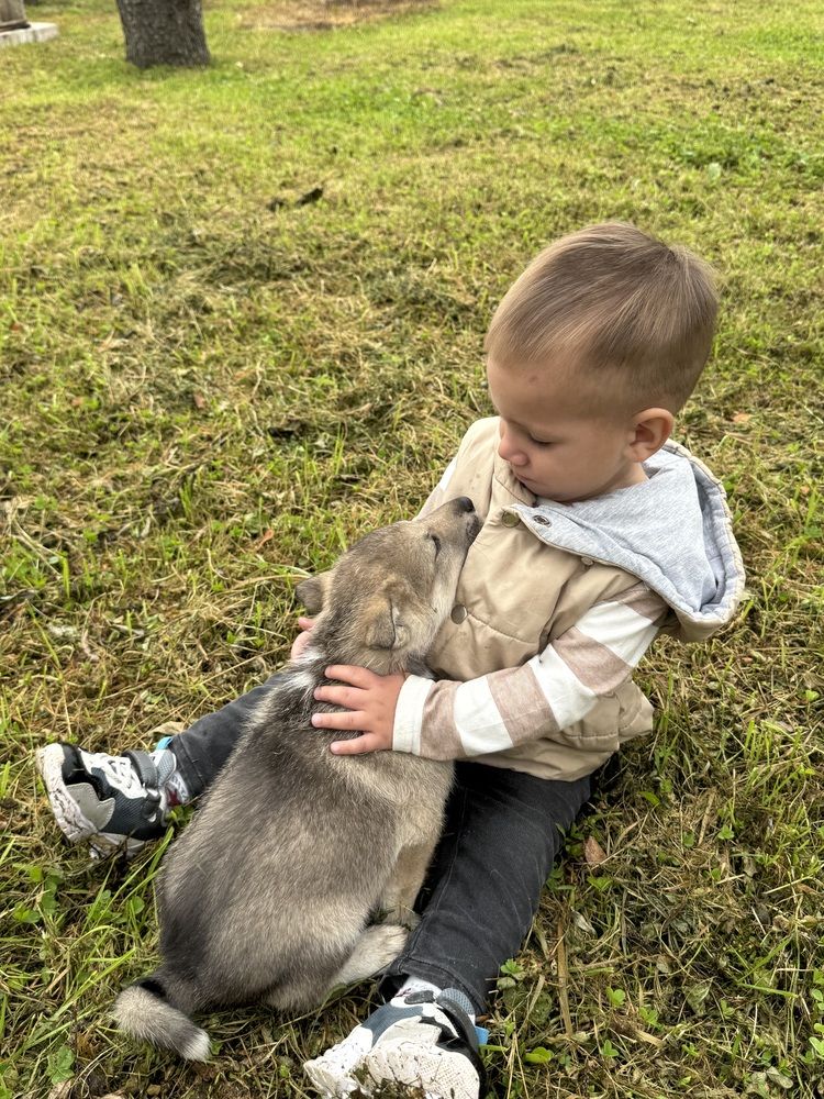 Photograph by Ольга Имамкулиева