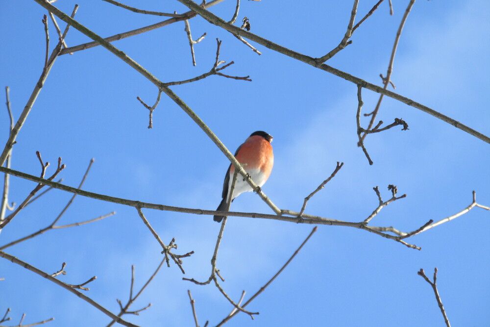 Photograph by Татьяна Зиновенко