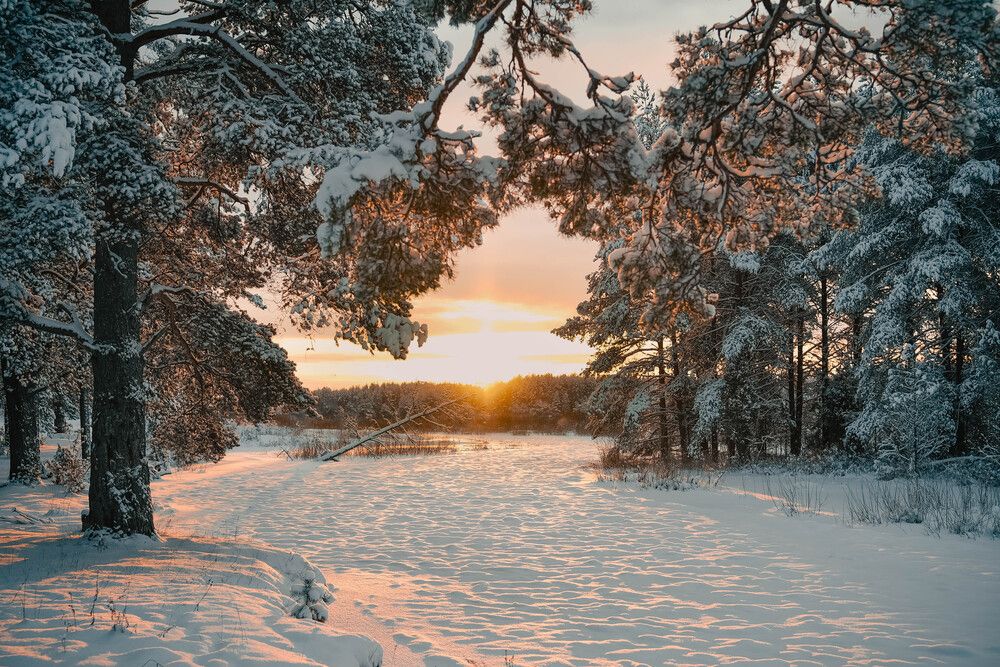 Photograph by Дмитрий Петров