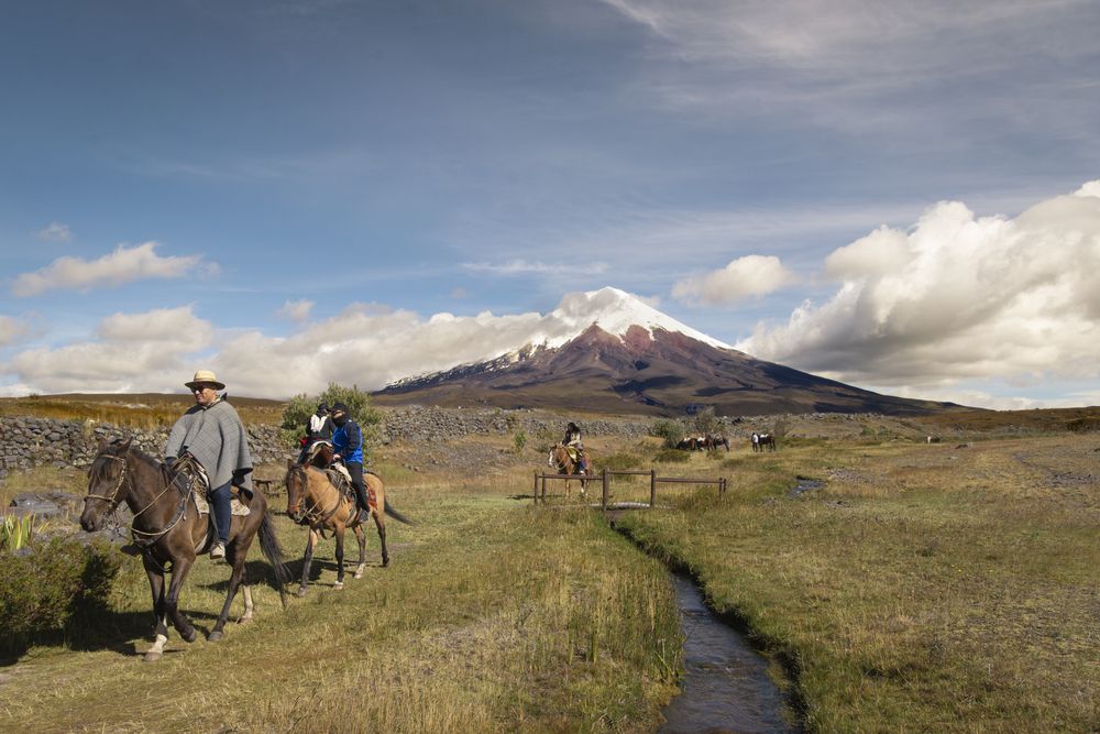 Photograph by Susie Castellano