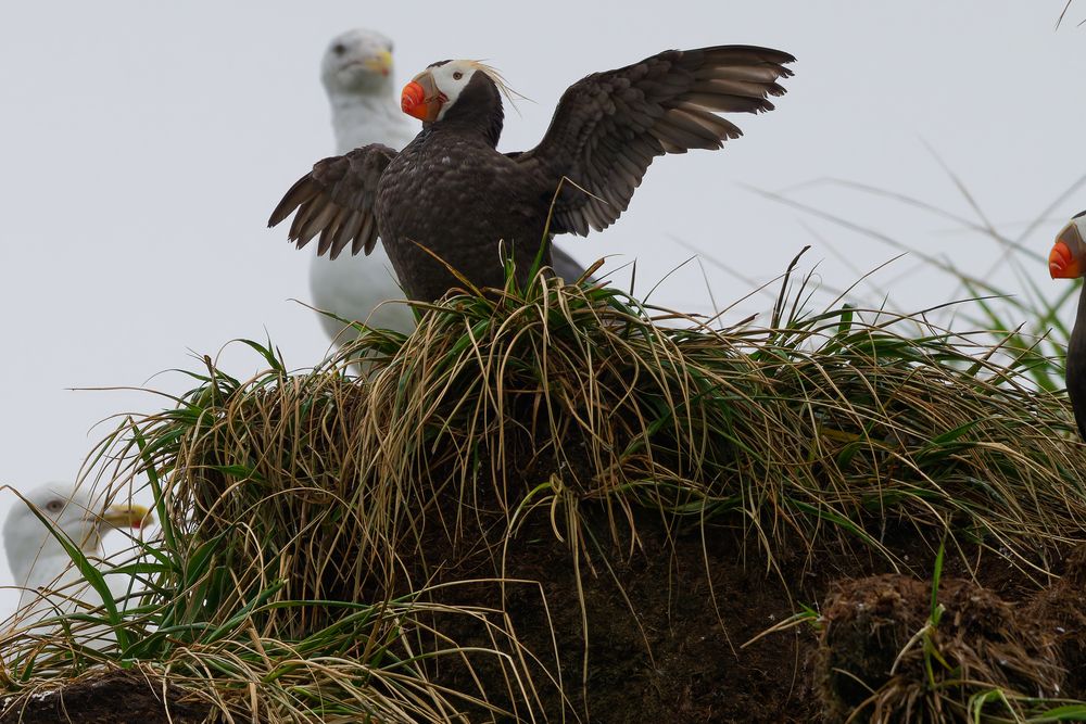 Photograph by Алексей Зенякин