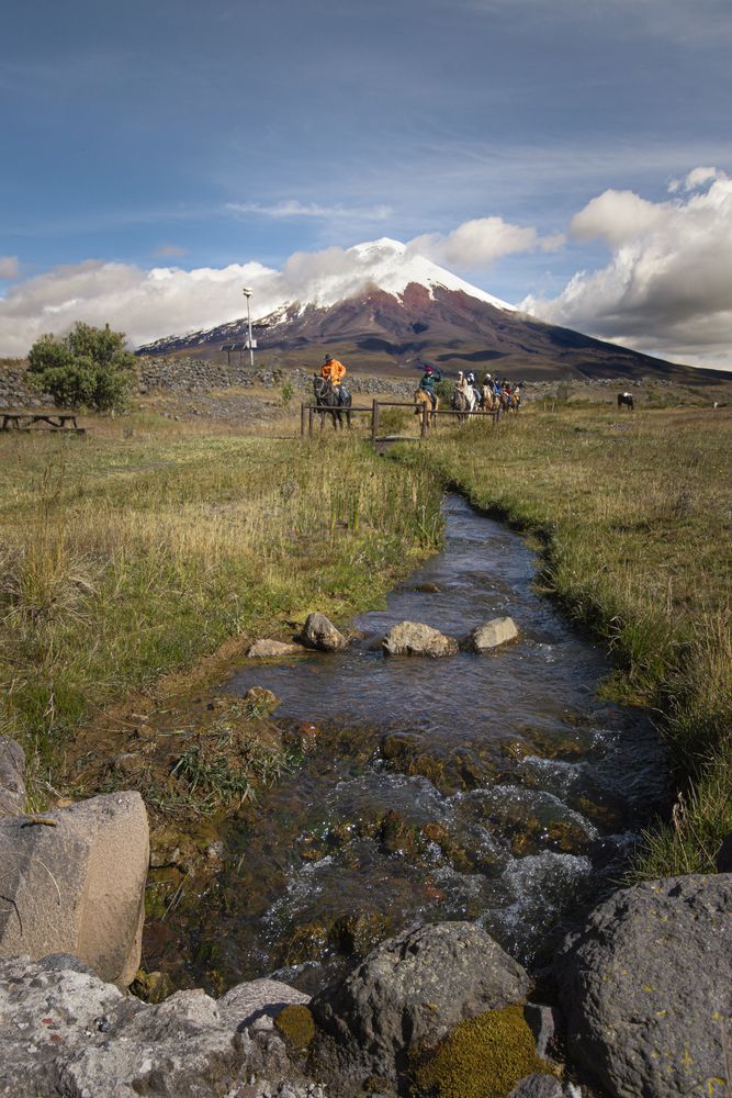 Photograph by Susie Castellano