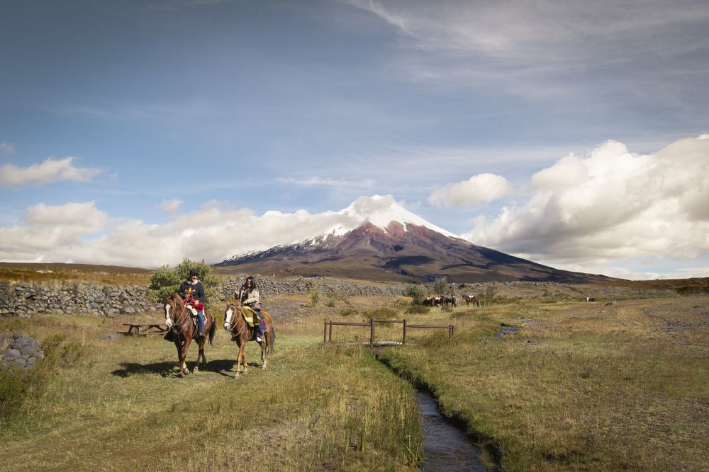 Photograph by Susie Castellano