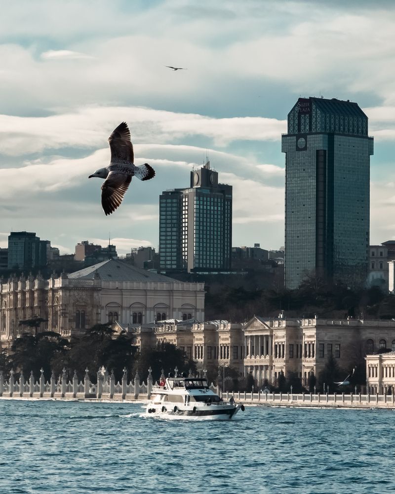 Фотография автора Lyuboslav Bochev