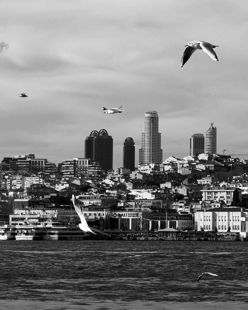 Фотография автора Lyuboslav Bochev