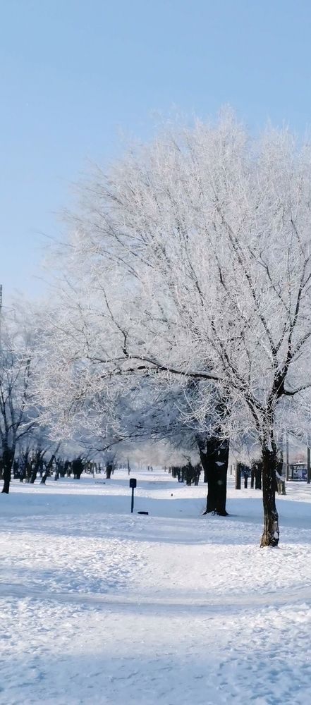 Photograph by Елена Оборник