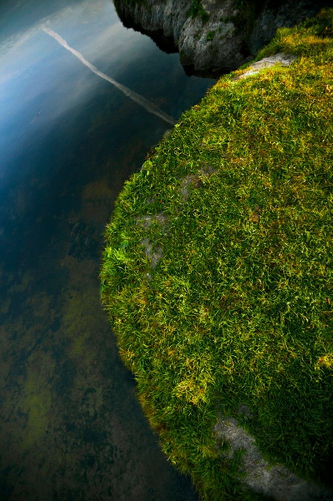 Photograph by Олег Красиков