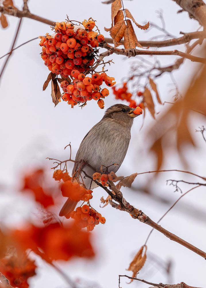 Photograph by Екатерина Александровна Тырышкина
