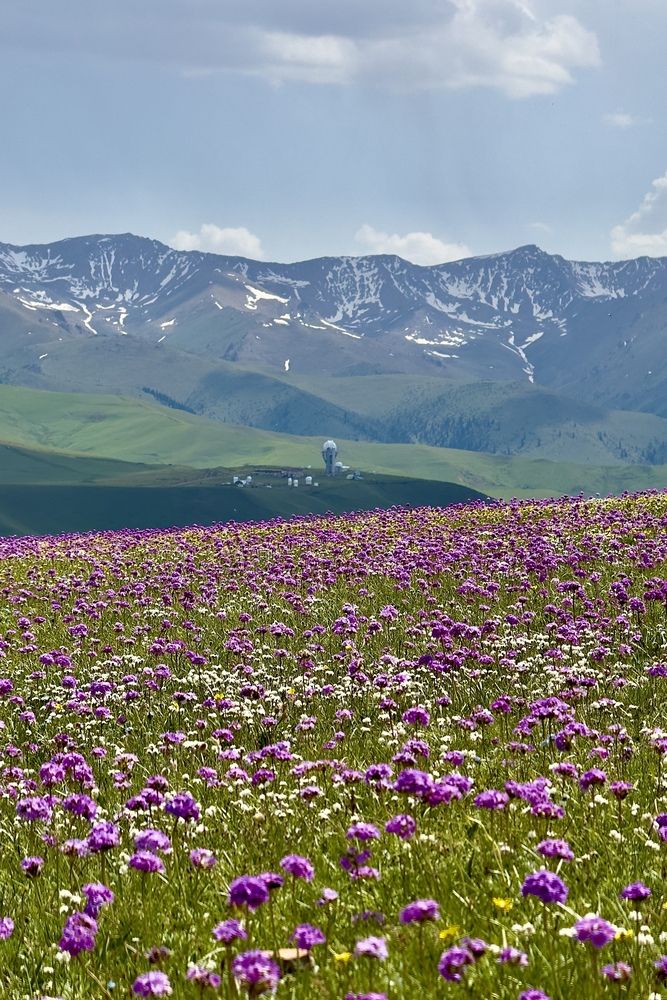 Photograph by Ольга Бибекина
