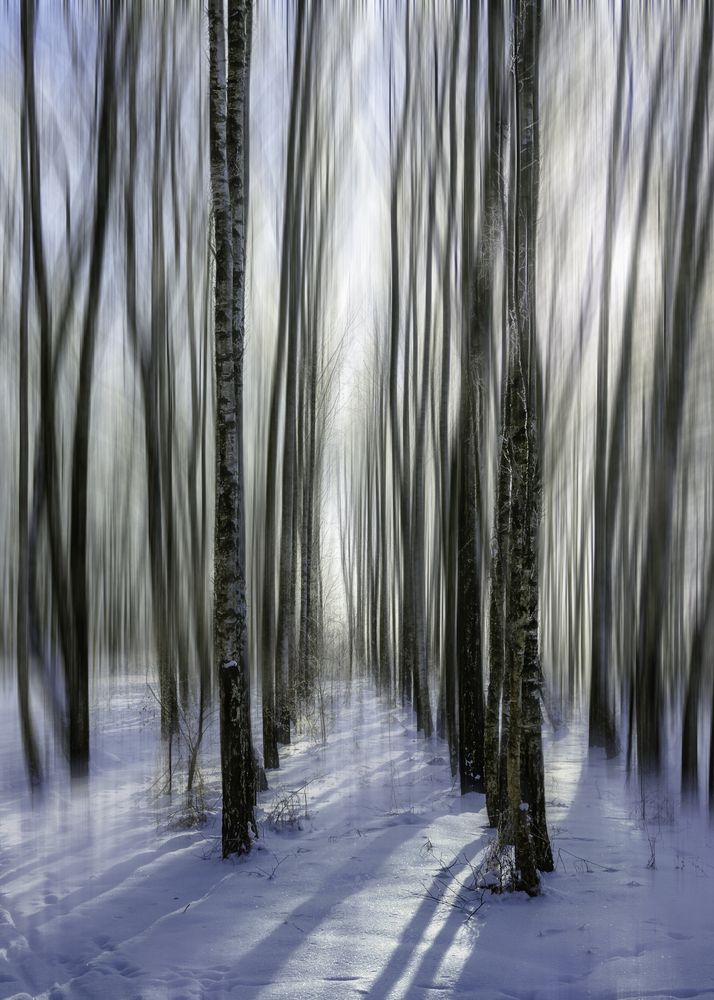 Фотография автора Алексей Крукович