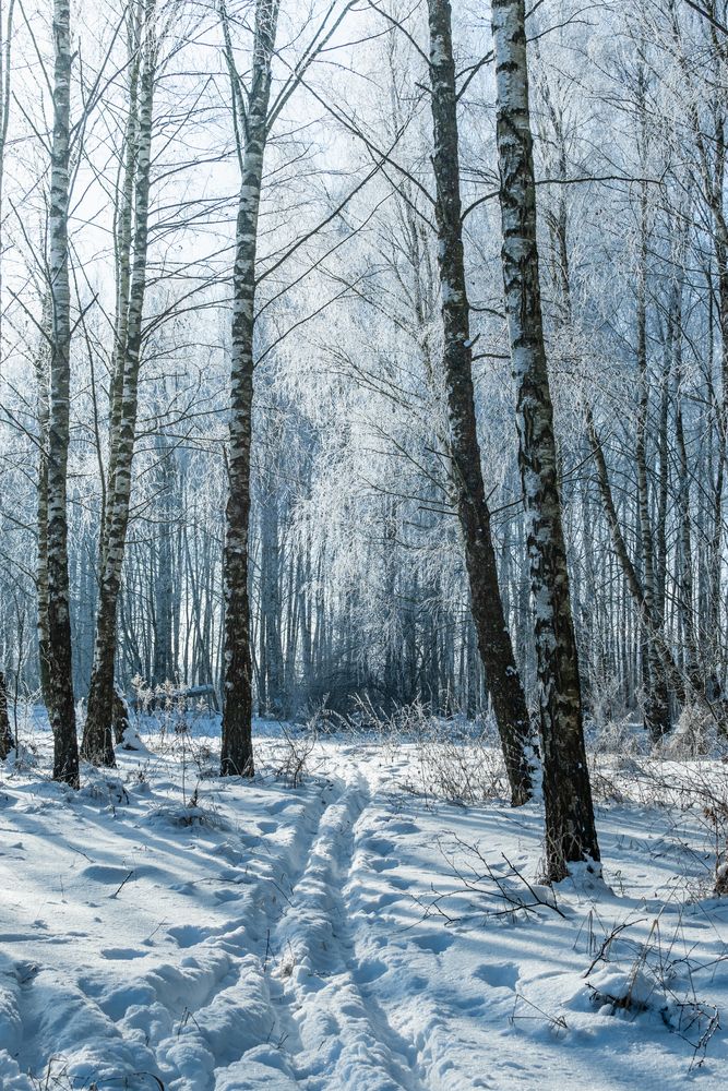 Фотография автора Алексей Крукович