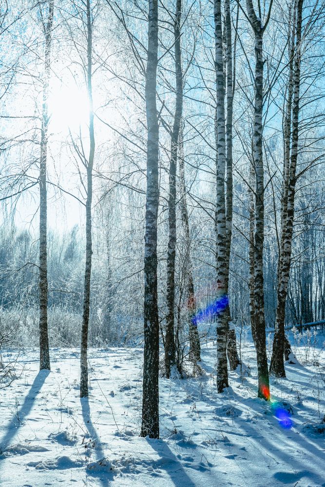 Фотография автора Алексей Крукович