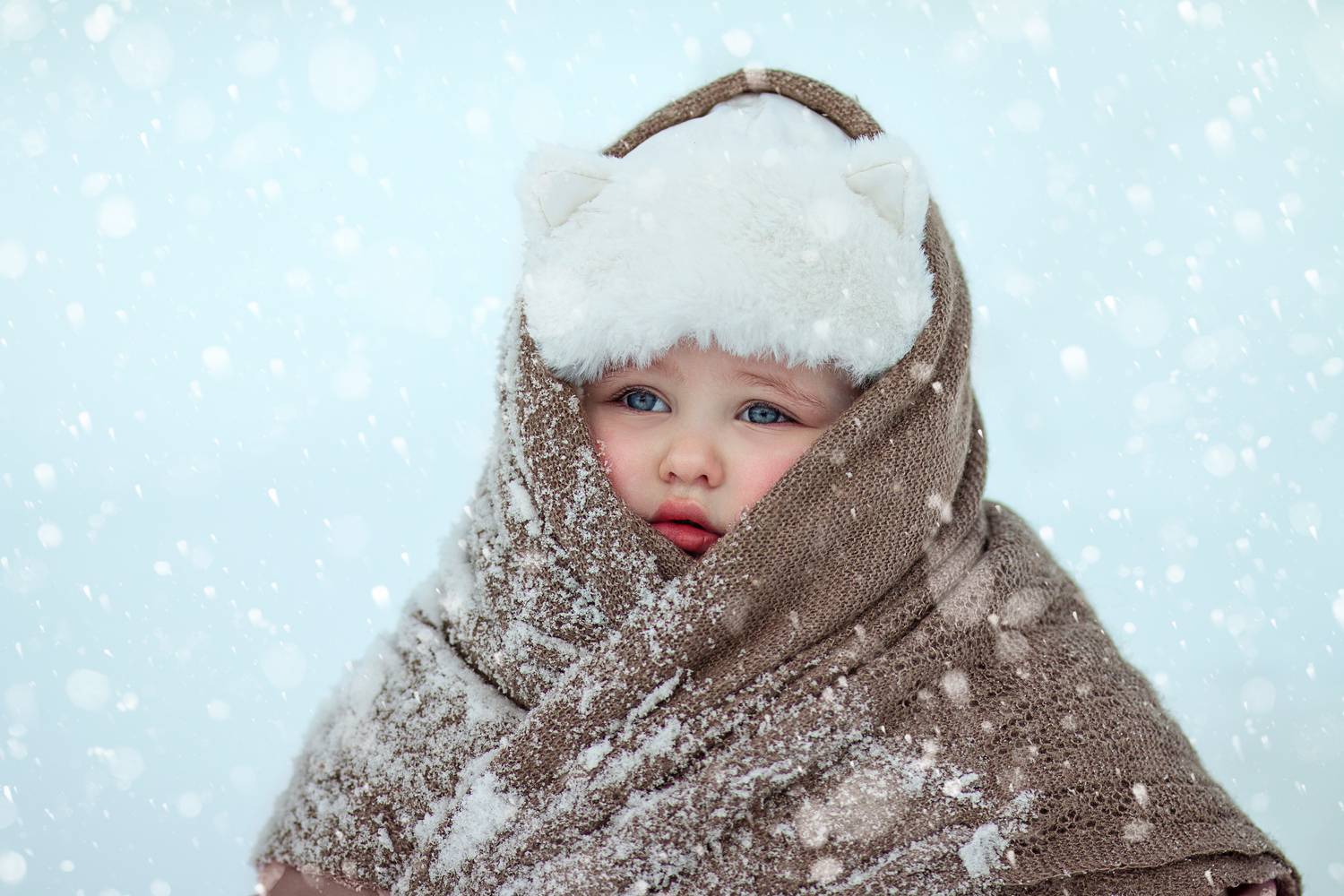 Фотография #13158522