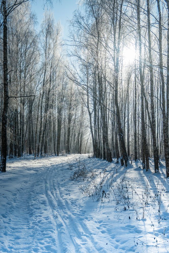 Фотография автора Алексей Крукович