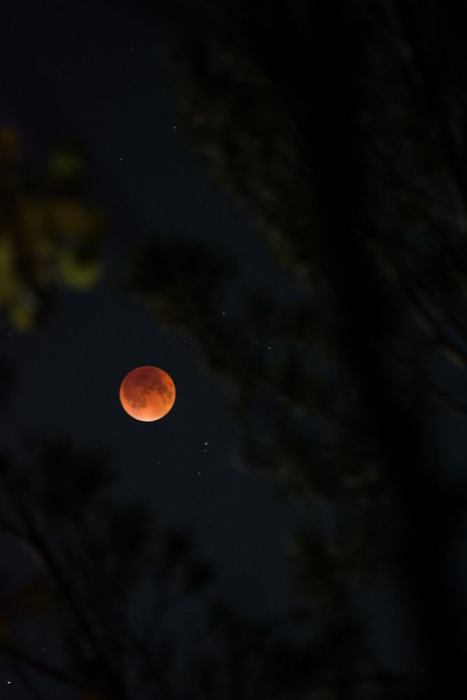 Photograph by Валерия Паринова
