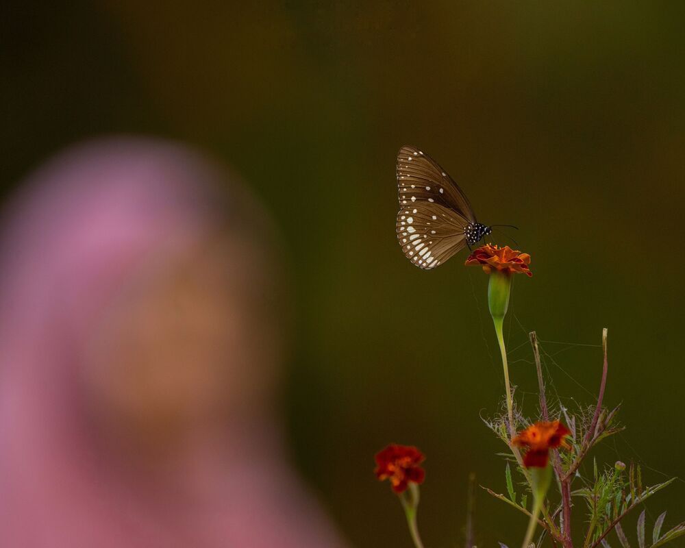 Photograph by mahadevan Arige
