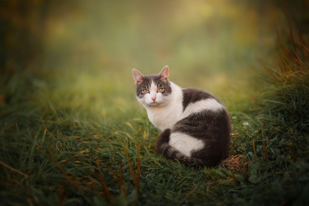 Photograph by Наталия Матвеева