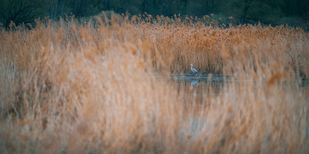 Photograph by Borisov Alexandr