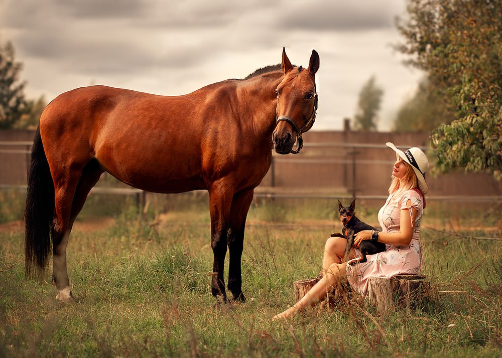 Photograph by Алена Сидорова