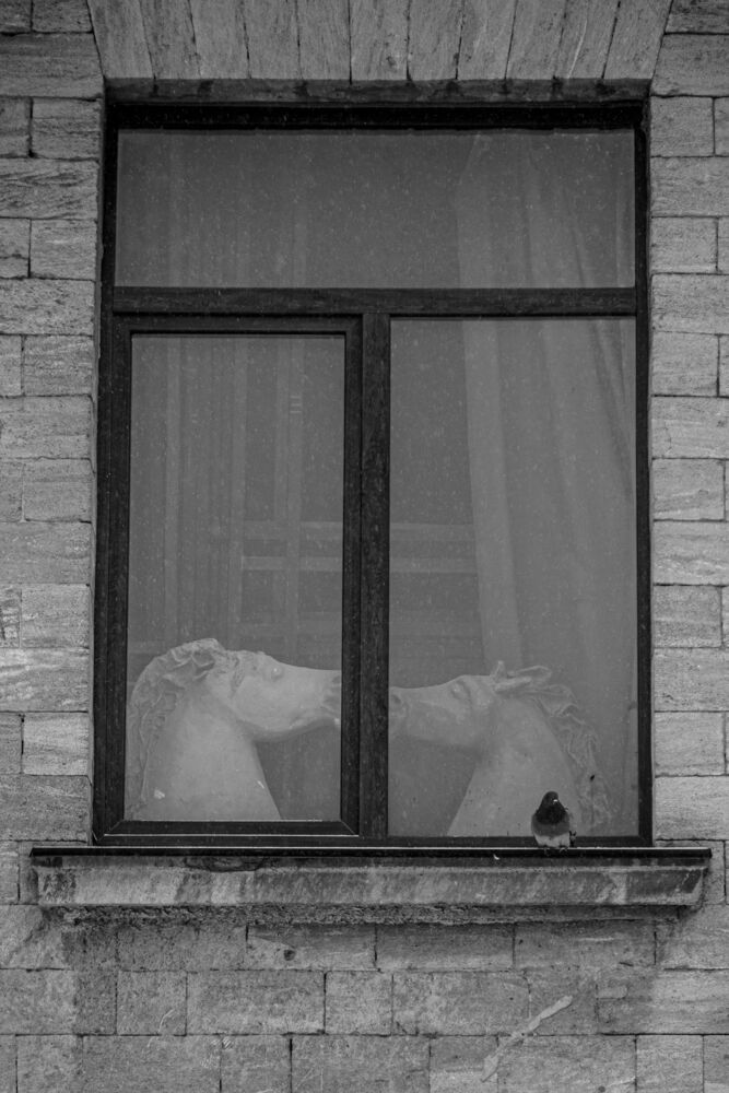 Photograph by Виталий Маслов