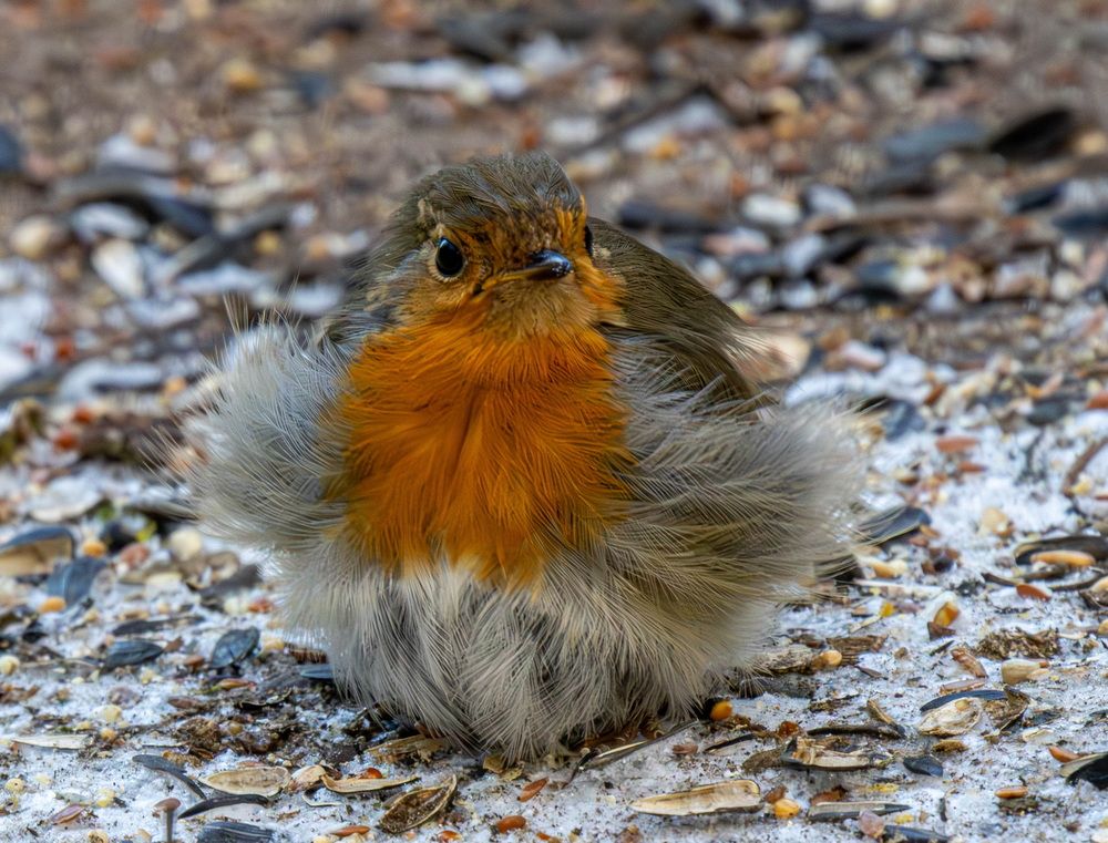 Photograph by Волынский Виктор