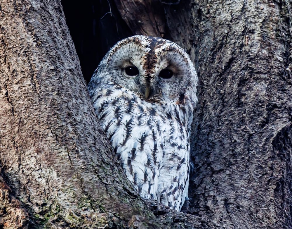 Photograph by Волынский Виктор