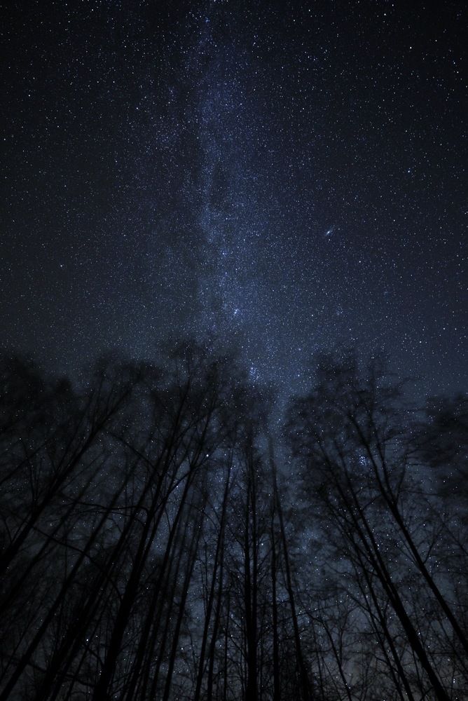 Photograph by Анна Резникова
