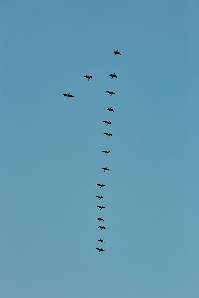 Photograph by Prometej