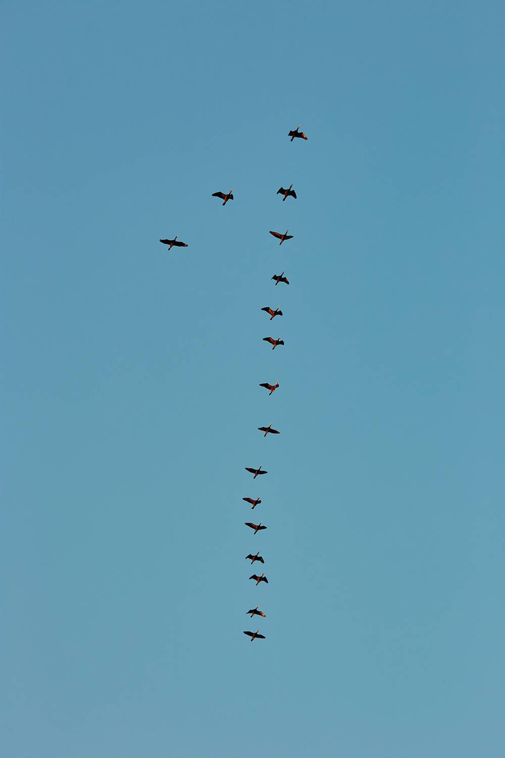 Фотография #13158740