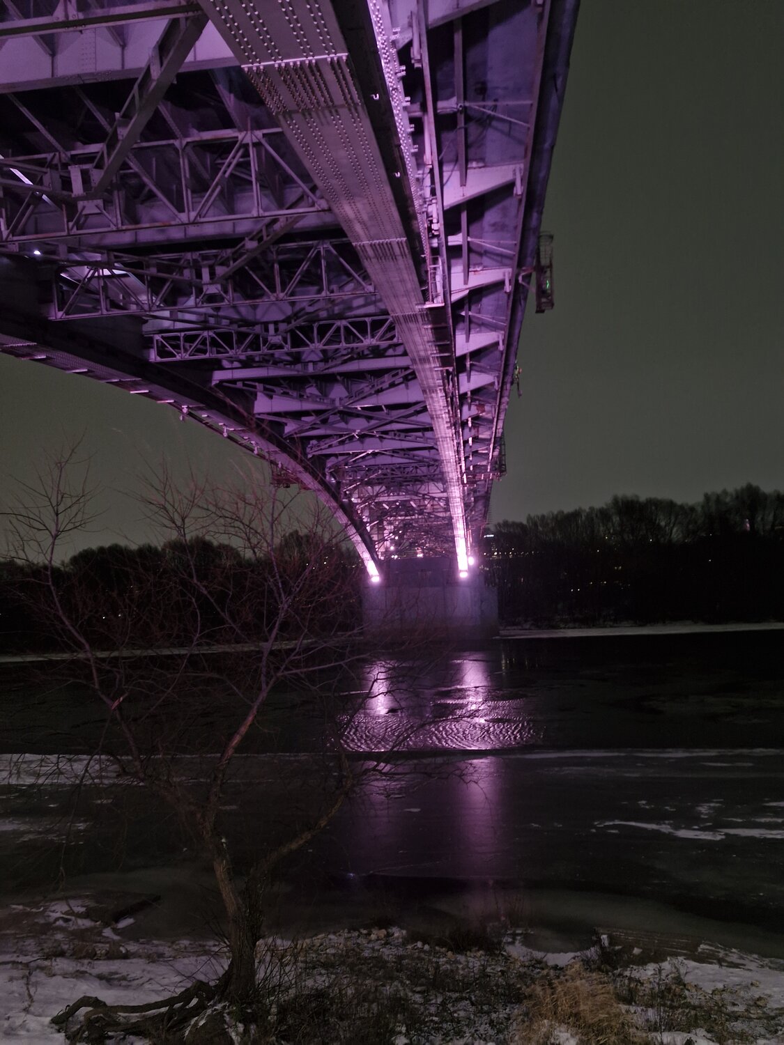 Photo #13158773