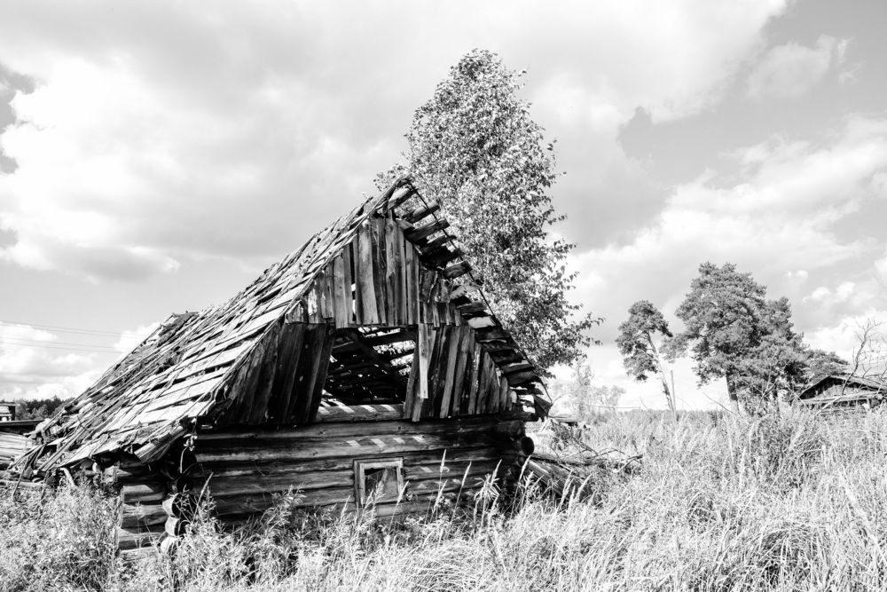 Фотография автора Ольга Сургина