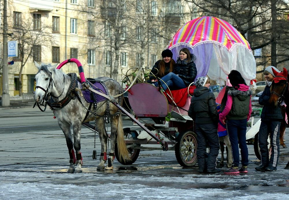 Фотография автора Nelya  Lysenko
