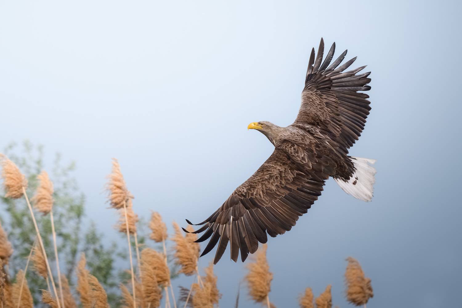 Фотография #13158825