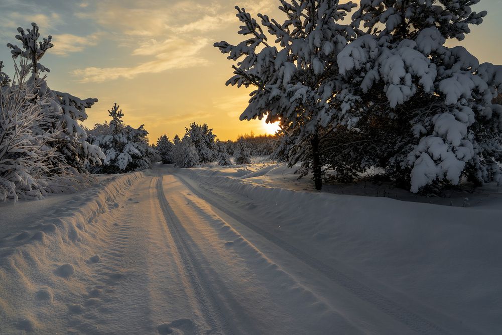 Photograph by Светлана Волкова