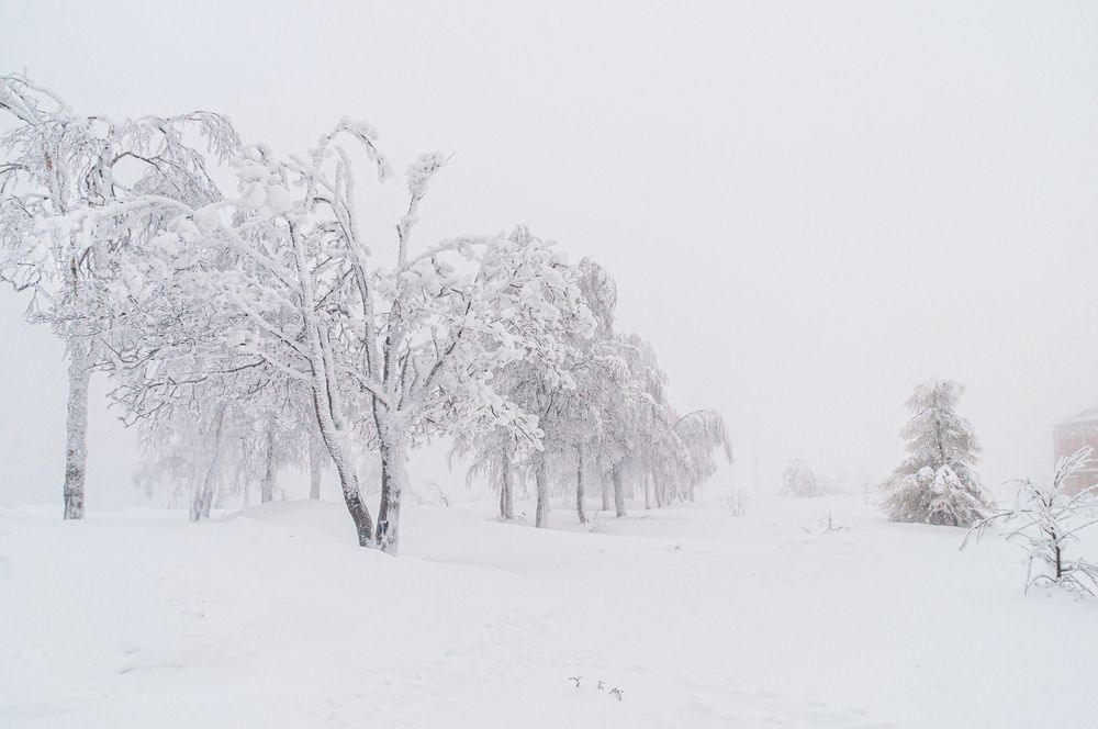 Photograph by Денис Кичев