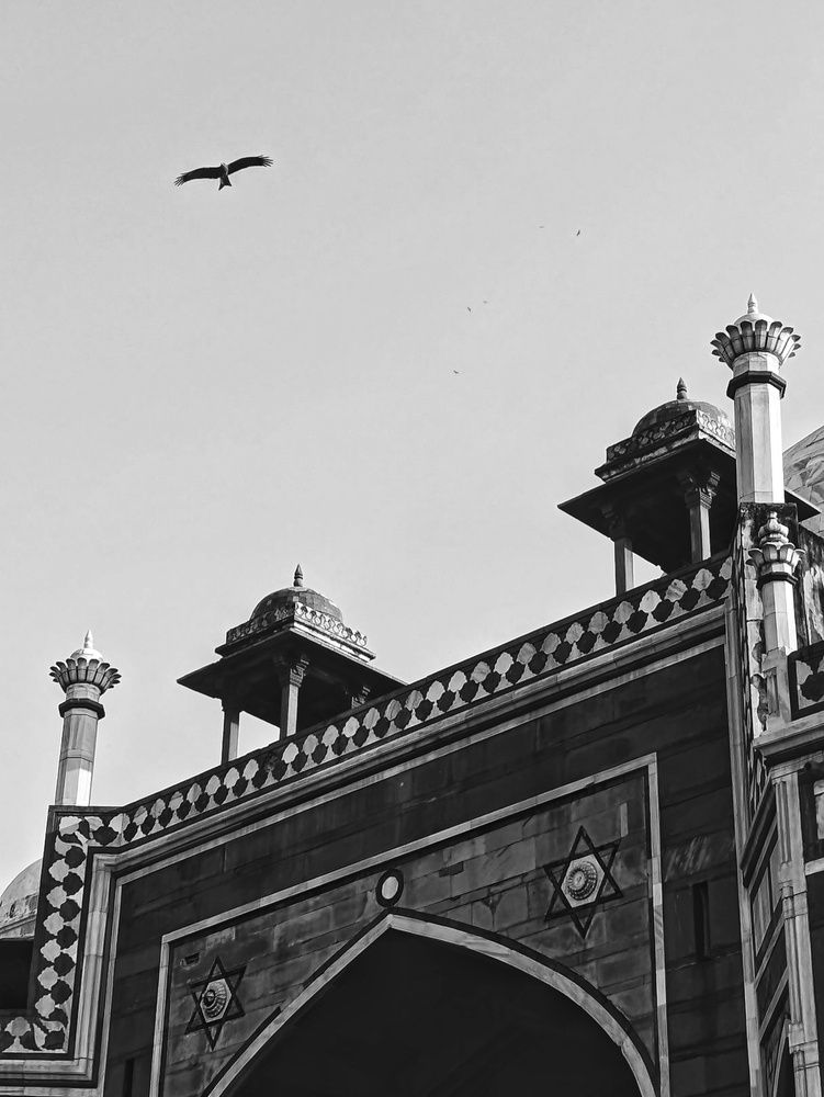 Photograph by Aeshvarya Yadav