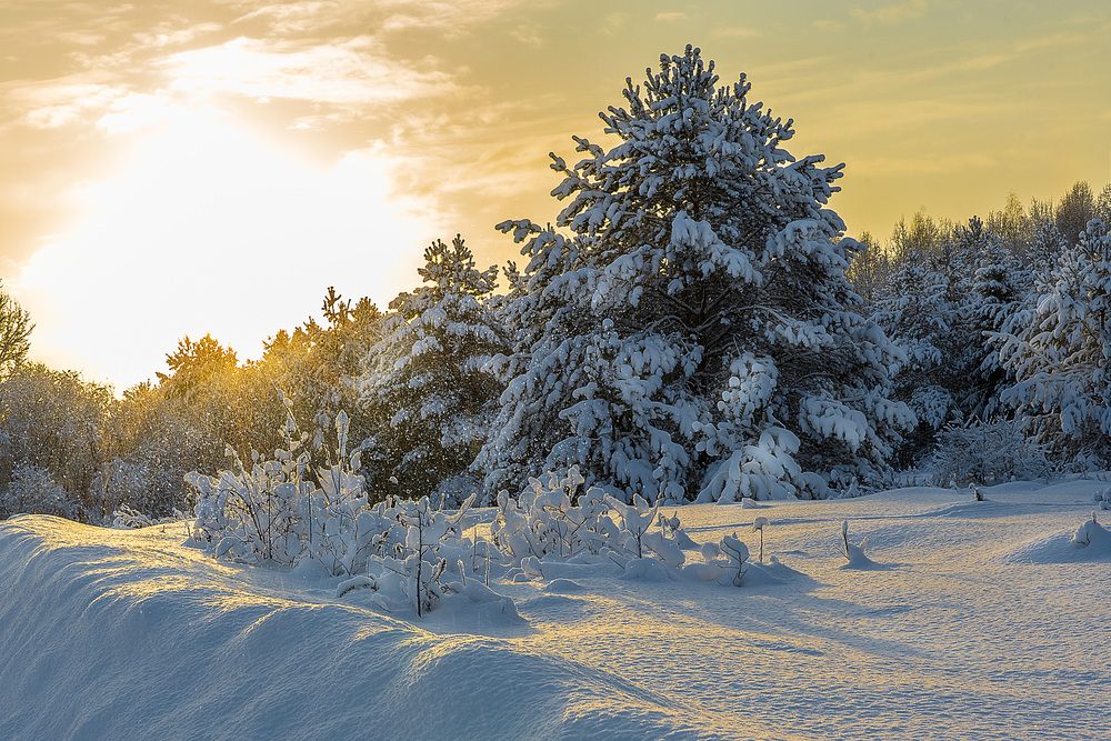 Photograph by Светлана Волкова