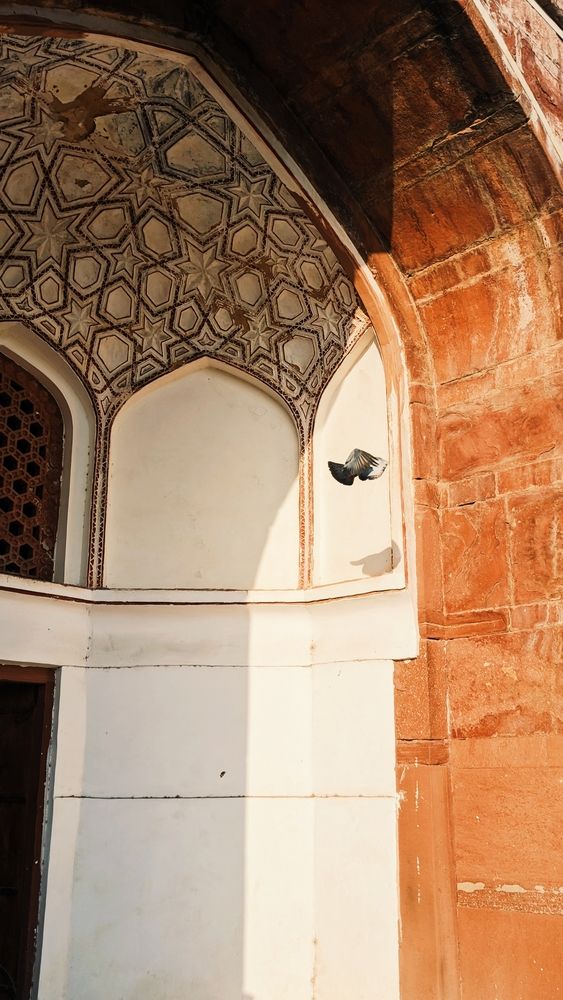 Photograph by Aeshvarya Yadav