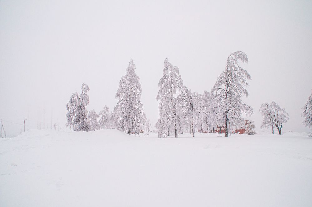 Photograph by Денис Кичев