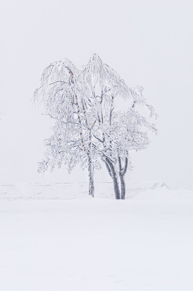 Photograph by Денис Кичев