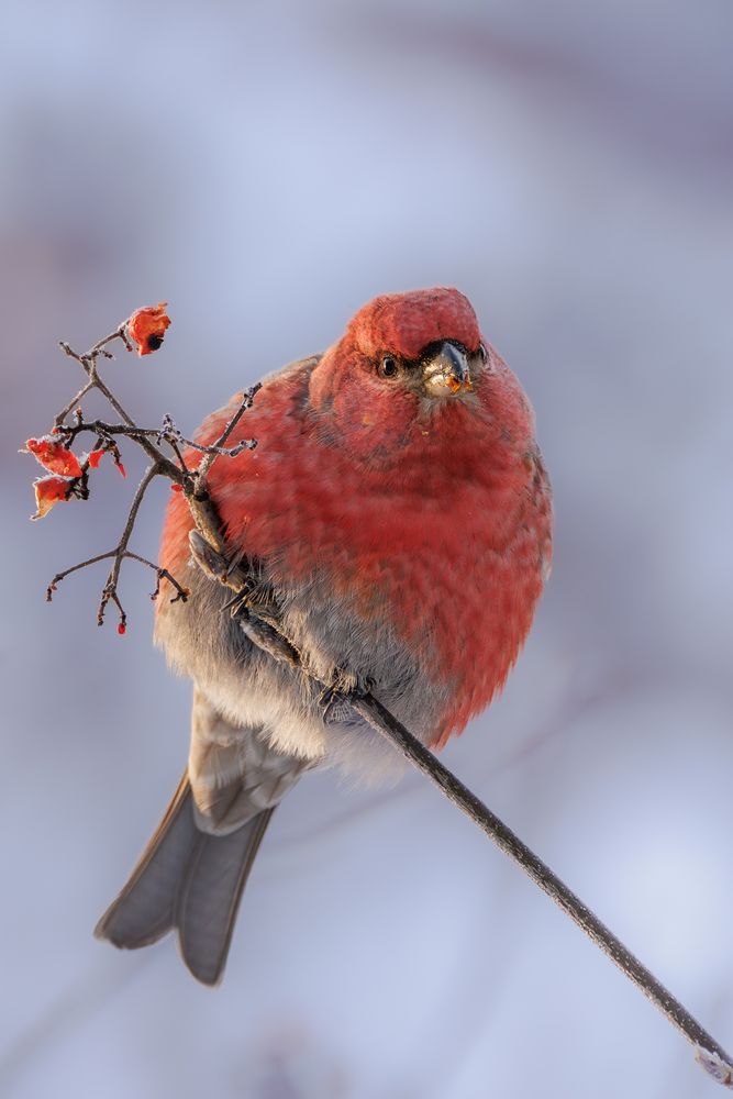 Photograph by Вера Машина