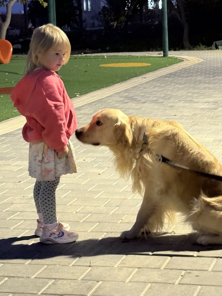 Photograph by Алла Киселева