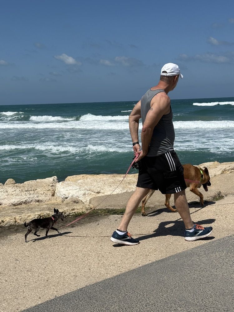 Photograph by Алла Киселева