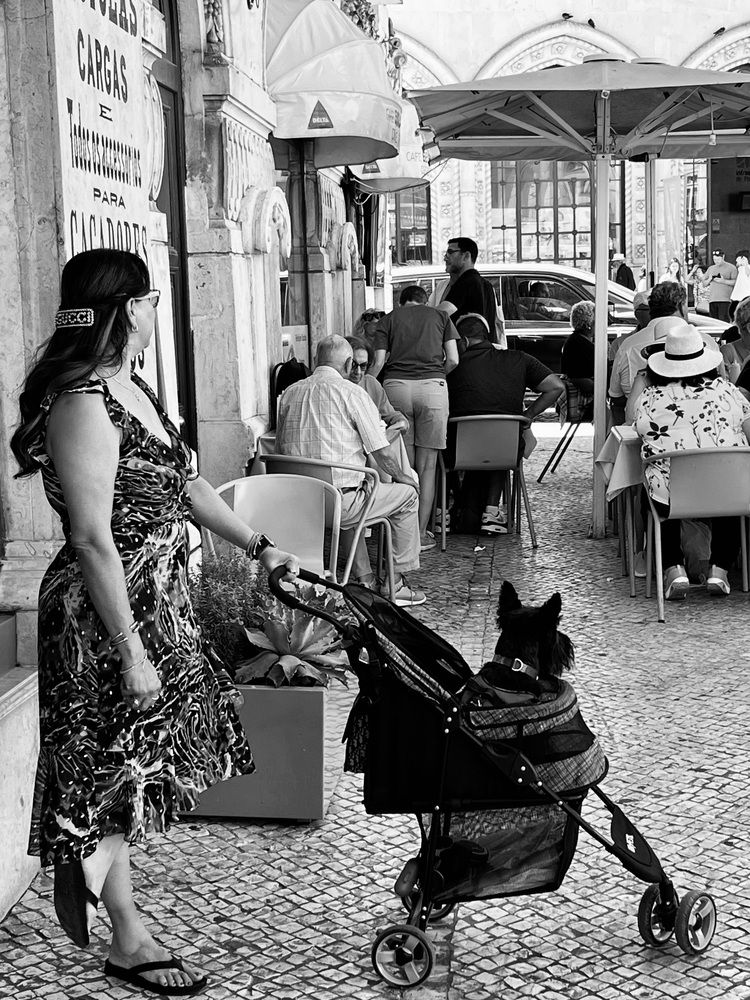 Photograph by Алла Киселева