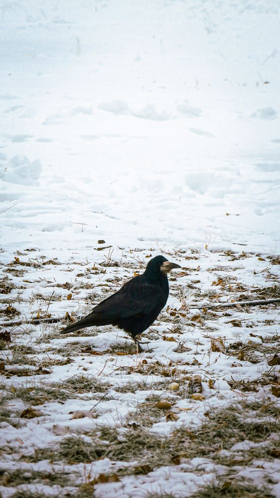 Photograph by Александра Ельникова