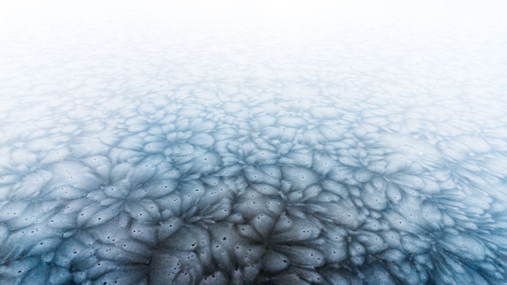 Photograph by Boglarka Barkoczi