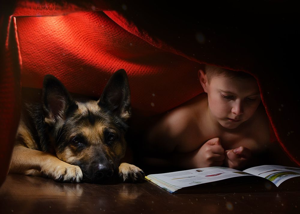 Photograph by Алена Сидорова